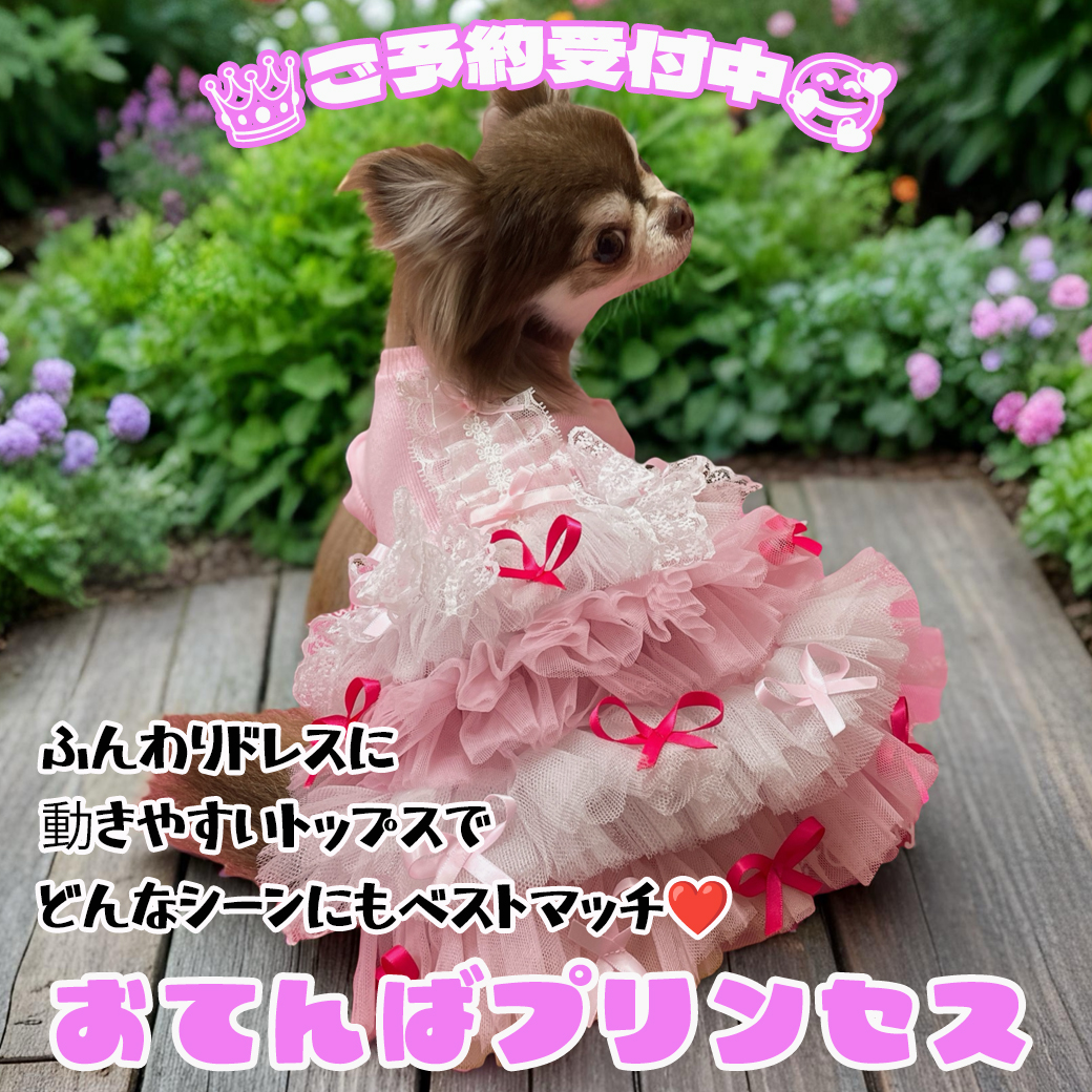 ワンちゃんのセレクトショップ【SweetCandy】