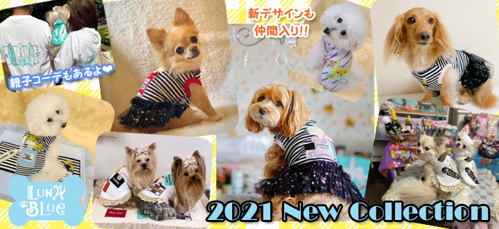 ワンちゃんのセレクトショップ Sweetcandy ワンちゃんのセレクトショップ Sweetcandy