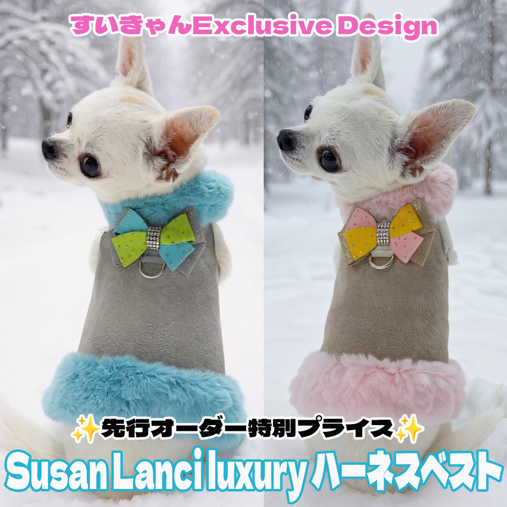 ワンちゃんのセレクトショップ【SweetCandy】