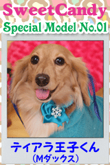 ティアラ王子くん