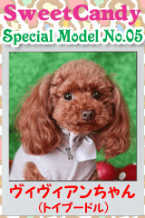 ヴィヴィアンちゃん