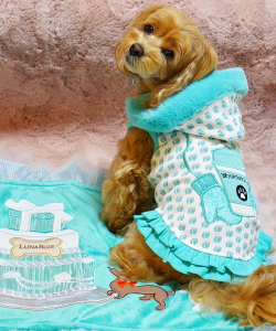 Luna Blue☆ルナブルー】ウーファニー フーディ ドレス | ワンちゃんの