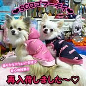 ワンちゃんのセレクトショップ Sweetcandy ワンちゃんのセレクトショップ Sweetcandy
